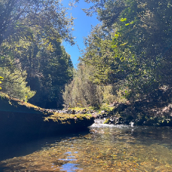 Kaden's Profile Picture